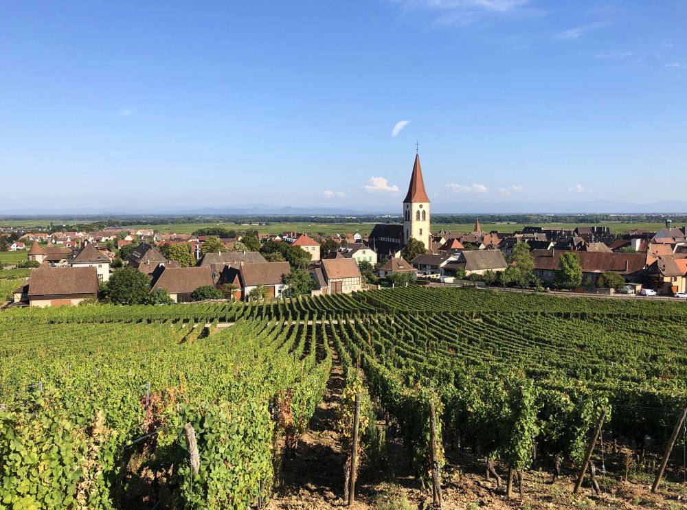 Golf & terroir